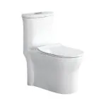 PARRYWARE MILLENIA Range One Piece Rim Floor Mounted Western Comodes (White) | 700x365x770mm, Soft Close,Exposed Flush Tank, Western Toilet/Water Closet For Bathroom | C897I46