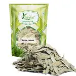YUVIKA Senna Leaves - Sanay Leaves Spl. - Cassia Angustifolia - Senna Alexandrina (100 Grams)