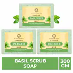 Ayusoul Ayurveda Handmade Basil Scrub Bath Soap (Pack of 3)(300g)