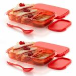 Primelife Reusable Food Grade Plastic Royal Lunch Box for Kids and Adults Leak Proof Lunch Box with Separate Container Safe Food Containers for School - Multicolor (Royal Nasta Box)(Pack of 2)