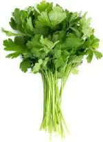 XOLDA Organic Coriander Kothmir Seed (56 per packet)