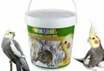 COLOURFUL Natural & Healthy Premium Birds Food for Cockatiel | Daily Birds Food Seed Mix | Cockatiel Birds Seed Mix 1000g + Free 200g,All Life Stages