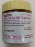 Jaundice DH Herbal Supplement Capsules 60 Caps Jar - DoctorKC Herbal