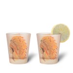 KOLOROBIA Frosted Shot Glass, Shot Glass with Heavy Base for Whiskey, Tequila, Vodka, Liqueur, Cocktail Glasses, Home Bar, Gifts for Men -Red Indian Female, 30 ML(Pack of 2)