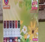 SHRESHT TECHNOLOGIES INC Rose Intimate Champa Jasmine Kesar Sandal (pack of 24)-AAA1