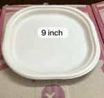 GO Green CHUK 9 inch Sugarcane Bagasse Mini Meals Plate (pack of 125)