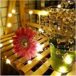 Infiprises LED Flickering String Lights with 100 LEDs/10.01m