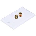 MX 2 Way Banana Plug Baa Female Wall Plate for Projector, Laptop, Television, Router