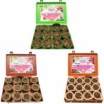 SIGNAMIO Dhoop Cup for Pooja Meditation,Festivals and Spiritual Events-Pack 3(Havan+cowdung+dashang)