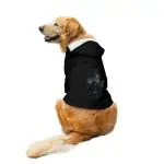 Ruse Dog Darkest Knight Printed Full Sleeve Hoodie Jacket, Black XS