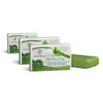 Herbal Therapy - Aloe Vera Soap | Handmade Organic Cold-Processed Aloe Vera Soap - Pack of 3 ( 100 Gm )
