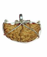 zoltamulata One Mukhi Rudraksha with Pure Capping with IGL Testing