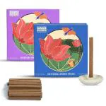 HELP US GREEN Fragrance Lavender & Patchouli Flavour Dhoop Sticks for Pooja (50 pcs), COMBO & PACK of 2 Dhup Batti with Holder, Agarbatti, Incense Stick, Sandal, Cones, Cup, Sambrani (25 Sticks/pack)