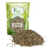 YUVIKA Beej Kasondi - Kasundi - Kasamarda Cassia Occidentalis (100 Grams)