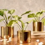 W A Handicrafts Golden Metal Small Planter for Home Decoration | Plant Pots for Home Living Room Bedroom Office Decor