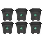 TrustBasket UV Treated Square Plastic Planter (14 inches) - Black Color- Set of 6