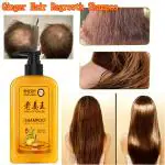 SOMWRITA Yellow Ginger Hair Growth & Healthy Hair Shampoo | Ginger Anti-Dandruff Shampoo For Healthy Scalp & Hair | Damage Repairs | Ginger Shampoo for Men & Women - pack of 1 [250ml].