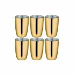 Shri & Sam Nikki Gold Stainless Steel Double Wall Glass 6 pcs