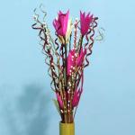 Palesaa Golden Red Pink Offwhite Anemane Dry Handmade Flower Multicolor Cosmos Artificial Flower (30 inch, Pack of 1, Flower Bunch)