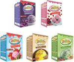 Dharmasut Black Currant, Rose, Strawberry, Rajbhog, Pista Ice Cream Powder, 100 G Each (Combo Of 5)