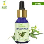 Homeda Eucalyptus Oil Essential Oil - Nilgiri Oil (30 ml) for Cold and Cough, Hair Growth, Diffuser, Aromatherapy (eculaptypus, eucliliptus)