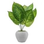 Foliyaj Artificial Money Plant With 9 Large Leaves in Apple Shaped Pot 14 x 20 cm