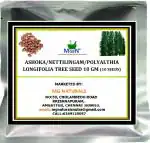 MGBN THE PATH FOR THE HEALTHIER LIFE WITH BEAUTY Ashoka, Nettilingam, Polyalthia Longifolia Tree Seed - 10 g (10 Seeds)