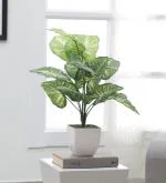 ARICKDECOR Artificial Money Plant Tree,Plant (60 CM without Pot,12 Leaves) | Lemon Blush | Ornamental Plant for Interior Decor/Home Decor/Office Décor, Look & Feel