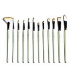 ArtizCraft Professional Artist Canvas Painting Brushes for oil and Acrylic (12 Qty)