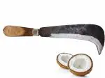 Ammaieesan Coconut Cutting Tool Coconut Knife Coconut Breaker Tool