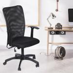 WHITE CLOUDS ENTERPRISE Fuzzy Mesh Med Back Office Chairs Work For Home, Ergonomic Chairs In Black (Do-it-Your -Self)
