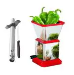 First Front Stainless Steel Regular Gas Lighter | Knife With Solid Plastic Chilly Cutter and Multicolour, Pack of 2