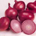 XOLDA Hybrid Red onion Seed (70 per packet)