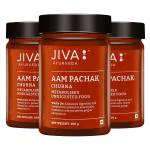 Jiva Aam Pachak Churna 100 g (Pack of 3)