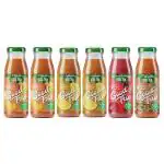 Good trip Refreshing Brewed Black & Green Iced Tea,Trial pack of 6 Glass Bottles-Peach, Lemon, Hibiscus Cranberry, Masala Tea Flavors