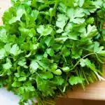 Tamransh Springfield Coriander, Dhaniya Seed, 80 Seeds