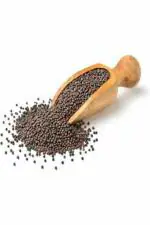 GOLDEN RESOURCES 100% Pure Premium Quality Fresh Mustard Seeds/Kali Sarso /Whole Mustard Black,50g PO1