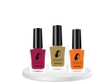 ASMEE -Nail polish combo pack of 3 Long lasting nail paints Quick dry 10 ML