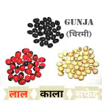 SS520 Gunja Combo Multi Colour Red Black White Mix 11 Per Colour 33 Seed Rare Chirami Combo Pack Lal Gunja, Kala Chirmi, Safed Gurinvida Beads Ratti Gumchi Madhuyastika