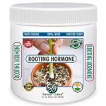 SANSAR GREEN: Rooting Powder for Fast Growth of Roots in Cuttings and Air layering Plant. (200gm)