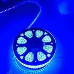 Astern Blue Rice Lights 600 LED/196m