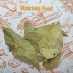 Nutrixia Parijatak Pan-Harsingar Patti-Paarijaat Leaf-Parijatak Leaves-Harshingar Patta-Tristis 50 Gms