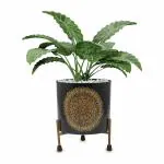 Nanson Modern Style Black Metal Planter With Gold Metal Stand| Unbreakable| Matte Finish Pot with Stand| Decorative Pots for Indoor Outdoor Plants| Rust Free| Metal Plant Pots for Living Room, Balcony and Garden