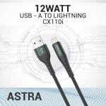 Maxx Data Cable CX110i 5V/2.4A 12W max 1 Mtr. USB-A to Lightning Nylon Braided-Black&Green