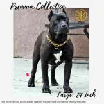 3Keys Pets Brass Heavy Duty Diamond Cut Gold Dog Cat Chain Training Collar (Medium: 24 Inch)