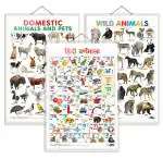 GO WOO Combo of 3 Domestic Animals and Pets, Wild Animals and Hindi Varnamala Charts for Kids