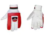 Cricket Batting Gloves