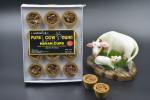 PANCHVATI HUB - PURE COW DUNG HAVAN CUPS (PACK OF 2) 24PCS