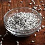 Goodness Grocery Premium Silver Coated ilaichi Dana (50gm)