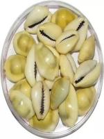 OYMYAKON VedMani Original Natural Peeli Kodi | PILI Kaudi | Yellow Kaodi Stoneware Yantra (Pack of 11)